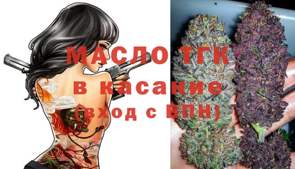 шишки Богородицк