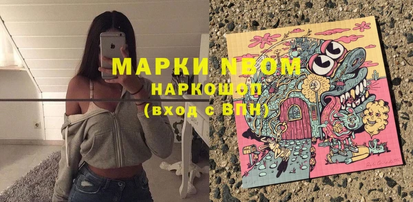 шишки Богородицк