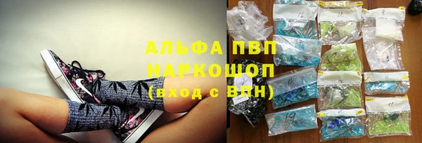 шишки Богородицк