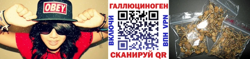 Галлюциногенные грибы Psilocybine cubensis  мега маркетплейс  Гусь-Хрустальный 